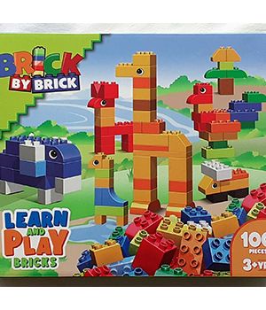Learn & Play Brick by Brick 100pieces