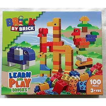 Learn & Play Brick by Brick 100pieces