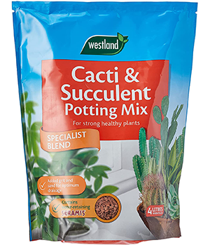 Westland Cacti & Succulent Potting Mix