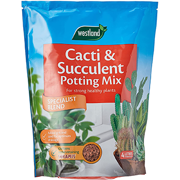 Westland Cacti & Succulent Potting Mix