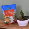 Westland Cacti & Succulent Potting Mix