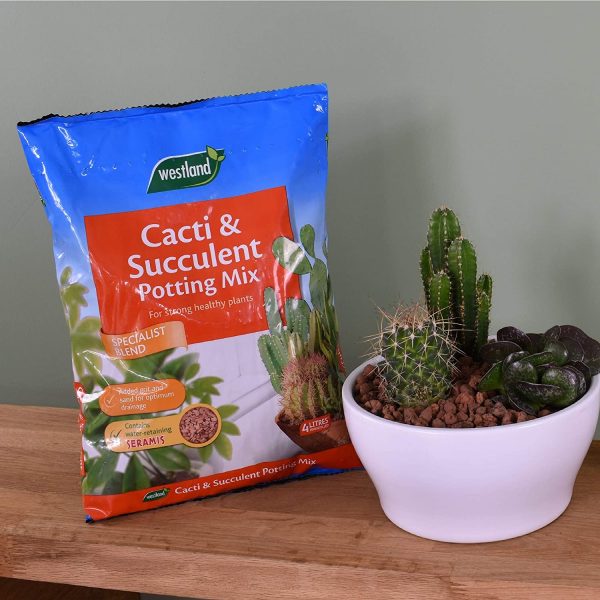 Westland Cacti & Succulent Potting Mix