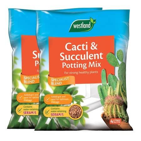 Westland Cacti & Succulent Potting Mix