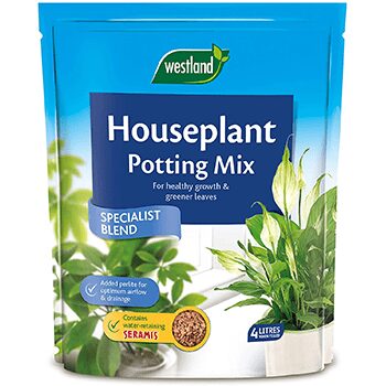 Westland Houseplant Potting Mix 4L